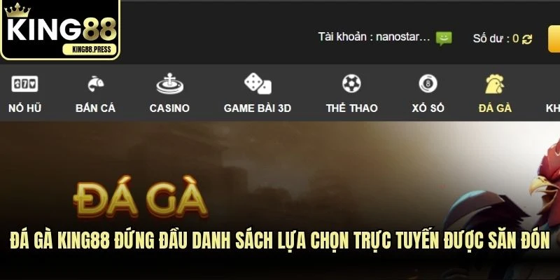 Đá gà KING88 đứng đầu danh sách lựa chọn trực tuyến được săn đón