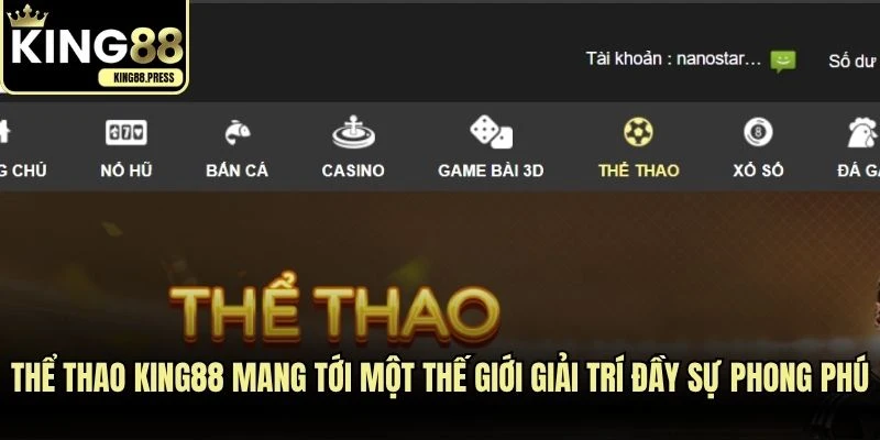 Thể thao KING88 mang tới một thế giới giải trí đầy sự phong phú